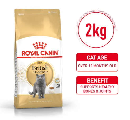Royal Canin Dry BSHA